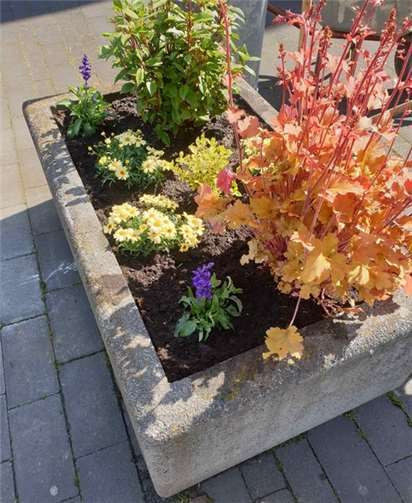 Rheinbach wird durch das Engagement der Bürger immer blühender. Foto:CDU-Fraktion Rheinbach