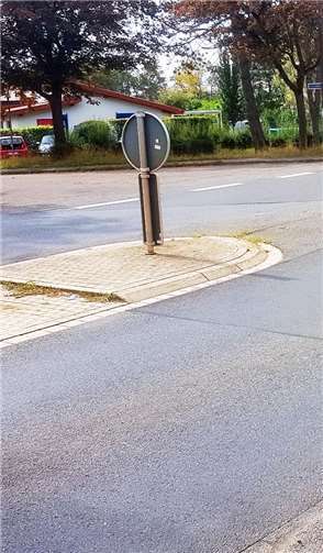 Rheinbacher UWG fordert eine gesicherte Querung der L113 für alle Verkehrsteilnehmer. Foto: privat