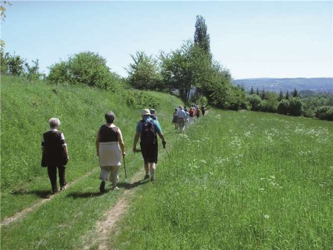 „R(h)wandern in den Frühling“ heißt es im romantischen Rheintal von Remagen bis Koblenz im nächsten Jahr am 1. Mai. privat
