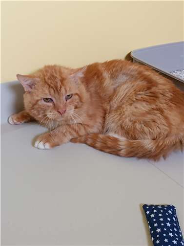 Richard. Fotos: privat