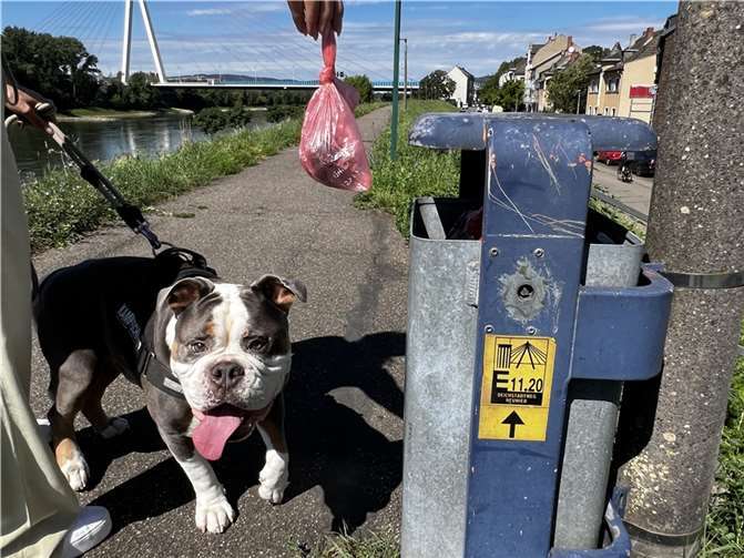 Richtig gemacht: Tretminen entsorgen und Knoten auf den Hundekotbeutel, damit es bei sommerlichen Temperaturen nicht stinkt. Aber: Kinderspielplätze und wie hier der Deich sind für die Vierbeiner tabu.  Foto: Gerd Neuwirth/SWN