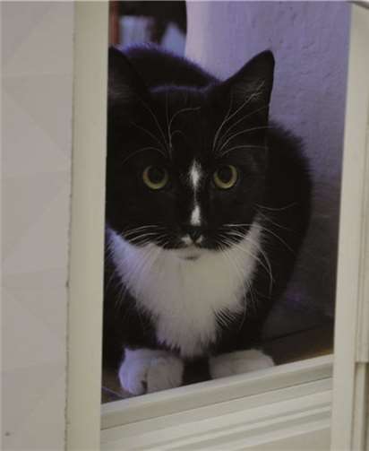 Ricky ist erst ein halbes Jahr alt und sucht ein neues Zuhause. privat