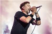 Rise against