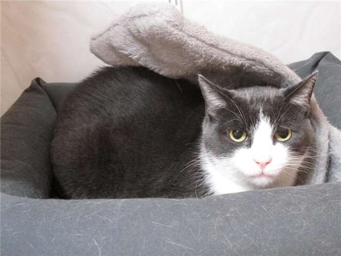 River.  Foto: privat