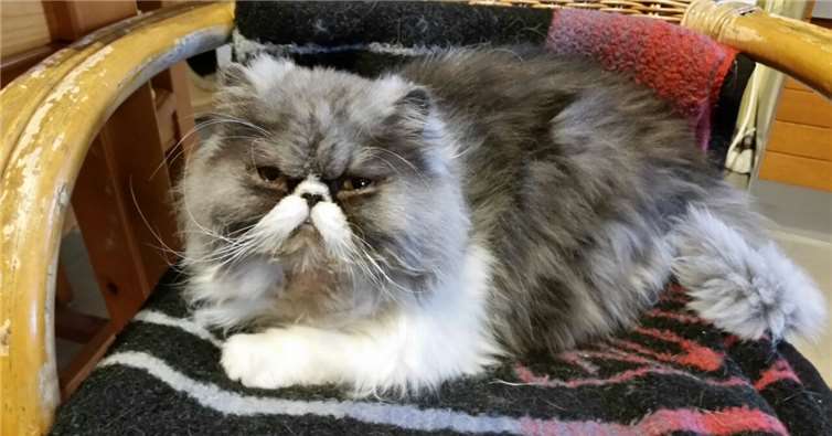 Robin ist sehr menschenbezogen.Privat