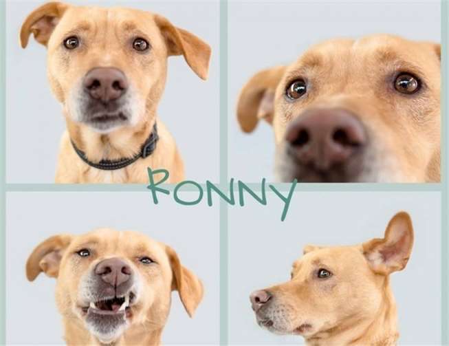 Ronny sucht eine Familie, die ihm zeigt was richtig und falsch ist. privat