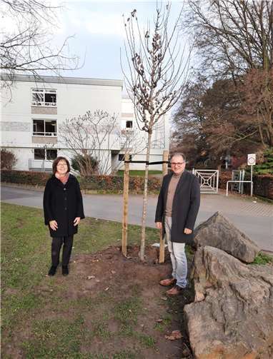 Rosmarie Bührmann-Müller spendete zwei Judas-Bäume.
