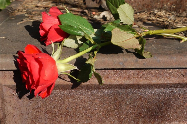 Rote Rosen
