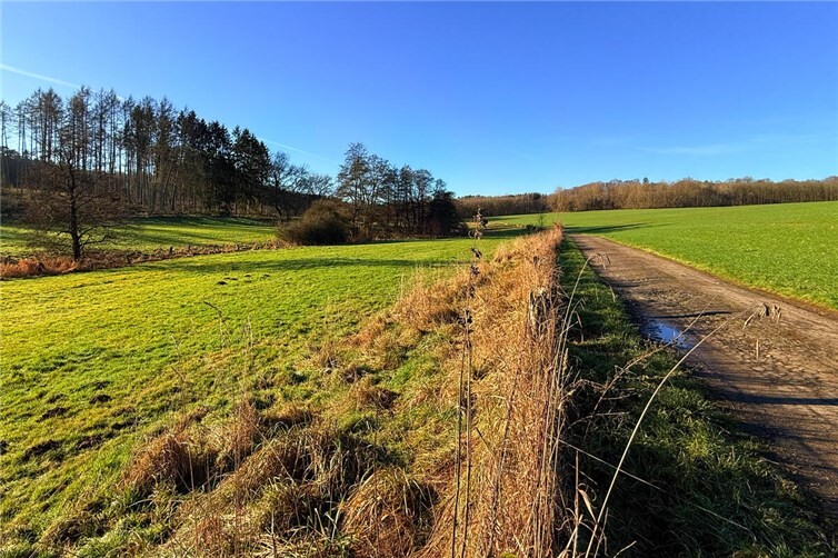 Rother Weiher und Ölsbach, selbst auch in diesem ökologisch hochwertigen Gebiet sollen die geplanten WEA im Märkerwald gebaut werden.Foto: Catrin Heinze/Naturschutzinitiative e.V. 