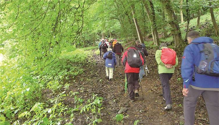 Rucksack und Wanderstiefel schnüren und los geht's!