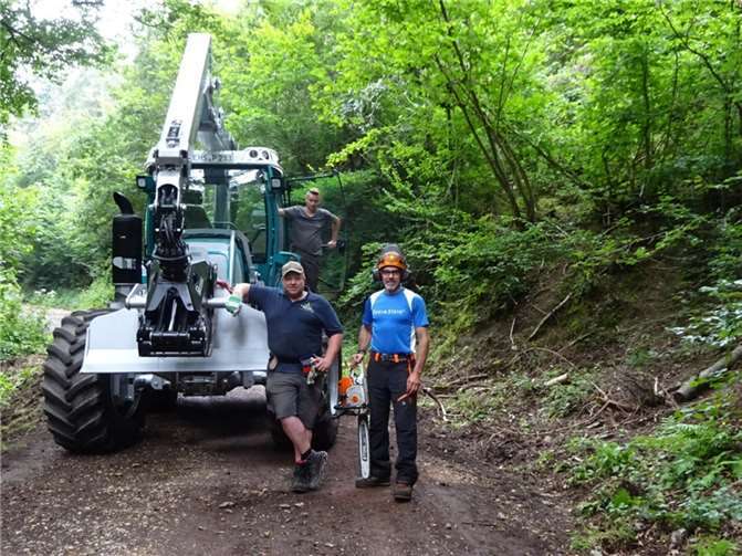 Rückerfahrzeugen wurden eingesetzt, um Bäume aus der Klamm zu ziehen.Fotos: Stadt Lahnstein