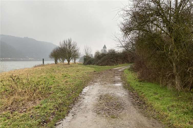 Rückschnitt von Hecken und Sträuchern für Baugrunduntersuchungen an der Hafenmole. Foto: Stefan Best / Stadtverwaltung Lahnstein