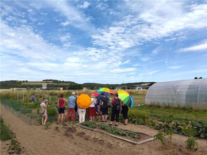 Rund 30 Mitglieder und Gäste kamen beim Sommerfest der SoLaWi Rhein-Ahr in Wehr zusammen.  Foto: privat