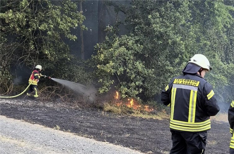 Rund 30 Quadratmeter Feld brannten direkt an einem Waldstück. Foto: Feuerwehr VG Asbach