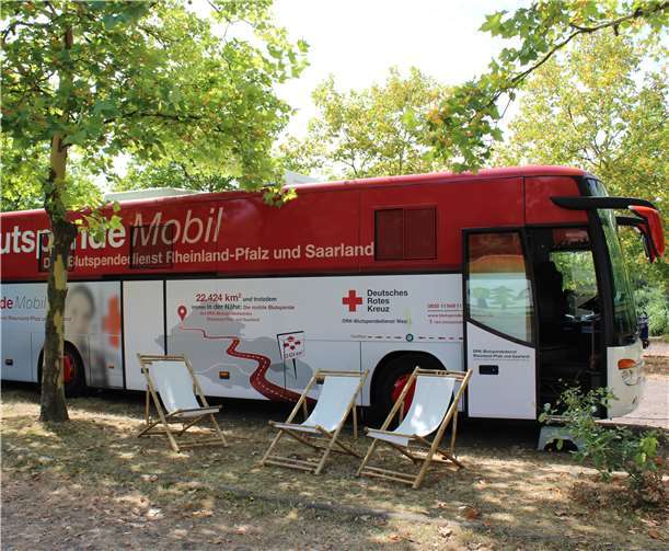 Rund 50 Personen sind zur Blutspende erschienen.privat