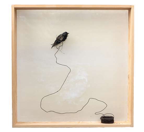 Rund 50 Werke zeigt Christel Hermann in ihrer neuen Ausstellung. Quelle: Roentgen-Museum