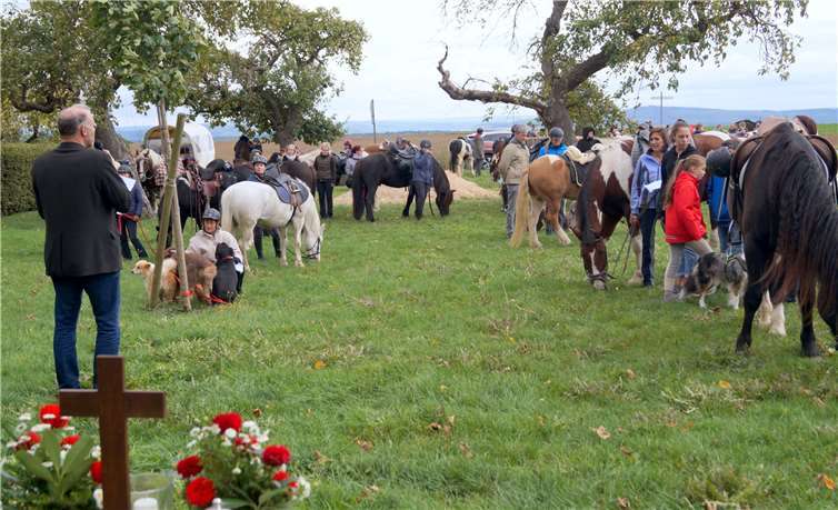 Rund 70 Pferde und etwa 60 Hunde hatten den Weg nach Roes gefunden.Einige waren dafür mehrere Stunden unterwegs. Fotos: TT