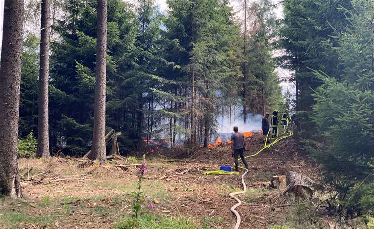 Rund ein Hektar Wald stand zwischen Kaltenborn und Herschbroich in Flammen. Foto: FFW Adenau