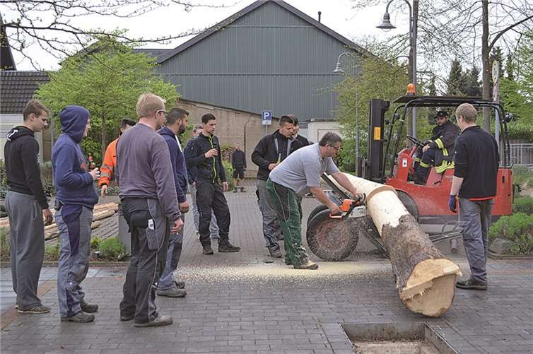 Rund zwei Meter mussten vom Baum noch abgeschnitten werden.