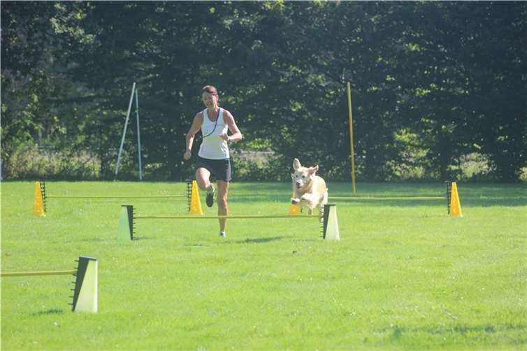S. Pook-Sesterhenn beim Hürdenlauf mit Golden Retriever Seniorhündin „Charlotte“.  Fotos: Hundesportverein Ransbach-Baumbach e.V.