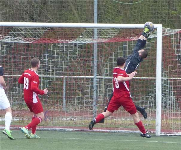 SG Niederzissen/Wehr Torwart Tim Schüller mit einer gekonnten Parade. Foto: privat