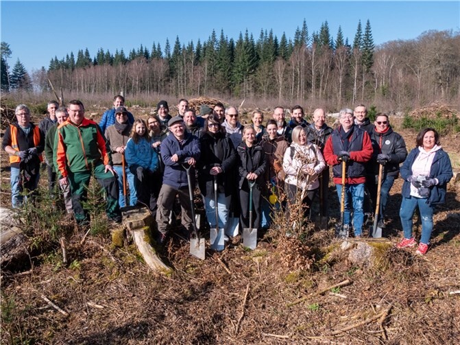 SWN-Baumpflanztag: Gemeinsam pflanzten Vereine, Geschäftsleute und Privatpersonen 250 Bäume im HWG-Wald in Neuwied.  Foto: Dennis Steinhardt/SWN