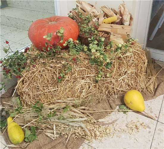 Saisonales Obst und Gemüse dekorierten die Kita und sorgten so für herbstliche Stimmung beim Erntedankfrühstück.privat