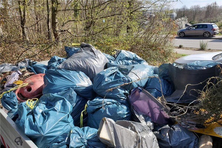Sammelergebnis nach 2,5 Std - ein Kleinlastwagen voll Müll
