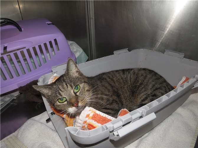 Sammy.  Fotos: privat