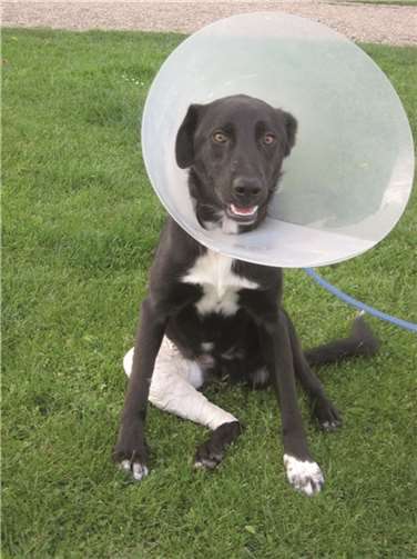 Samo nach der OP. privat