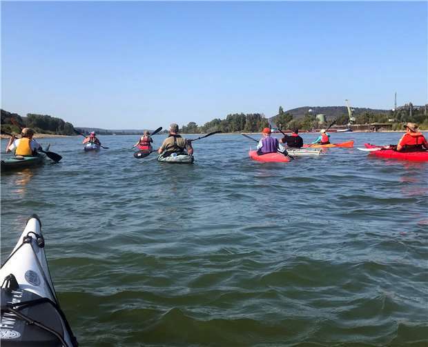 Samstag pünktlich um 10.30 Uhr legten zehn Wanderpaddler des Kanuvereins in Vallendar vom Bootshaus am Rheinufer ab.