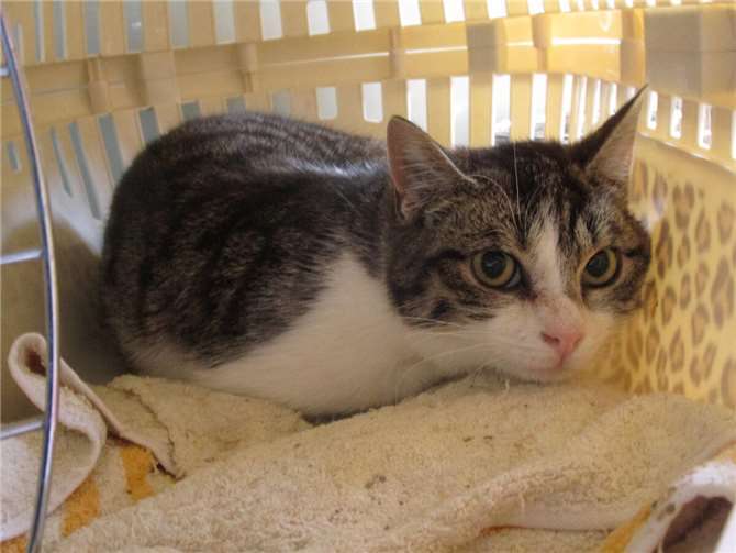 Samuel.  Fotos: privat