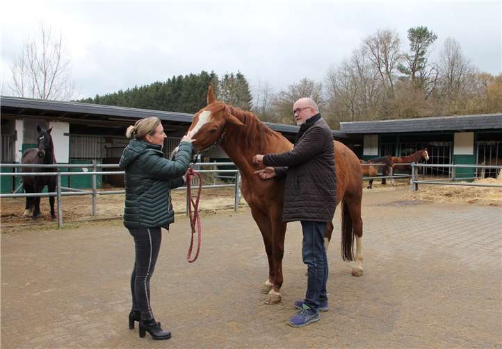 Sandra Karduck lässt ihre Pferde von Tierarzt Dr. Rainer Schneichel gegen das Equine Herpesvirus (EHV) impfen und erzählt ihm dabei von ihrer Betroffenheit durch die Corona-Pandemie. Foto: privat