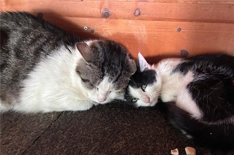 Sandro (links) & Yuna (rechts)