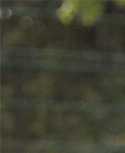 Sarah Jahnke trug mit einem Doppelpack zum klaren Ergebnis bei. G. Kölzer