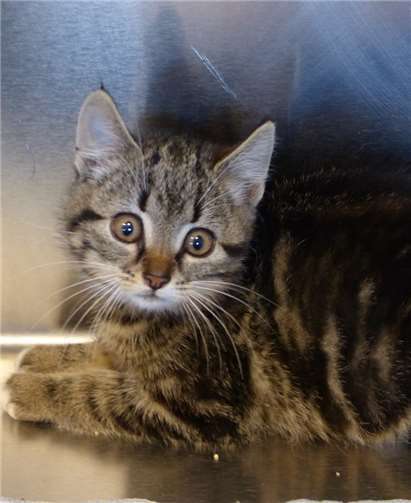 Sascha sucht Sie!privat