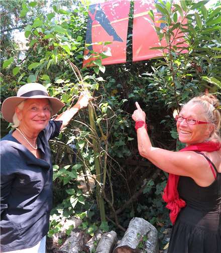 Schattenbilder von Monika Clever (re.). Gemeinde Wachtberg/mm