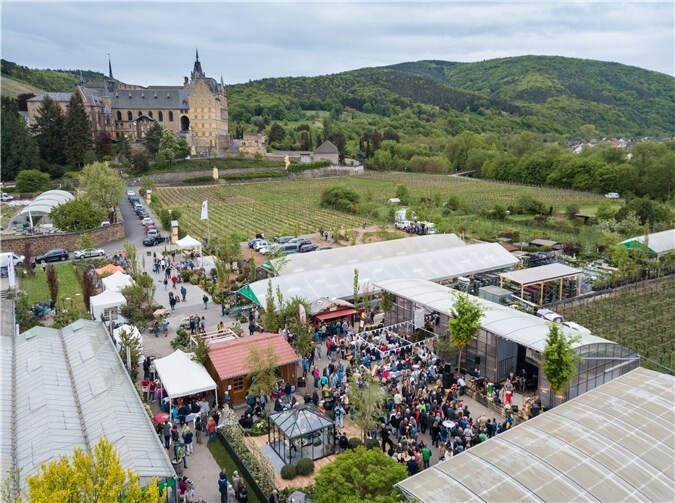 Schaugärten, Blumenhallen, Kulinarisches aus der Region, die ihre Werte und ihren Lebensstil präsentiert – mehr als 2.000 zufriedene Besucher konnte Hanna und Ralf Wershofen und ihr Team in ihrem Meer aus Blüten und Ideen unterhalb des Klosters Calvarienberg begrüßen.Dominik Ketz