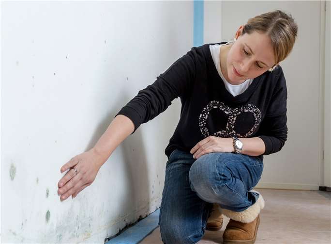 Schimmel im Wohnraum kann zum Problem werden.Cornelis Gollhardt