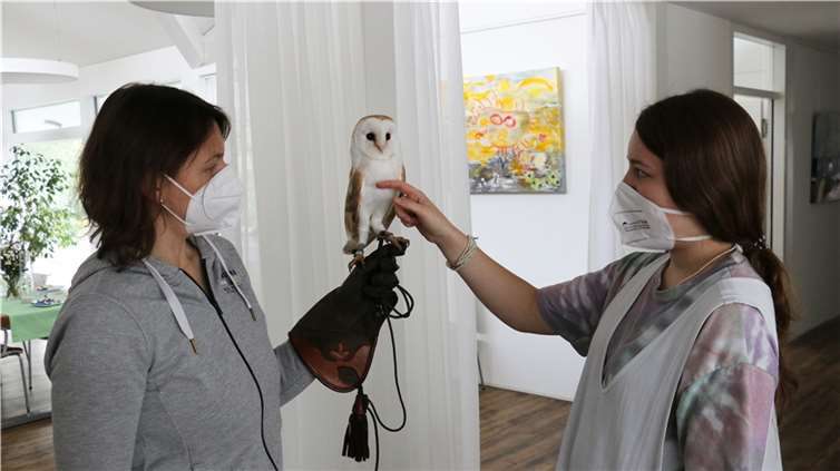 Schleiereule Charly mit seiner Halterin Victoria Mayer (Waldpädagogik Westerwald) und FSJlerin Emily.Foto: Dernbacher Gruppe Katharina Kasper