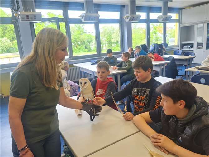 Schleiereule Satu konnte nicht nur gestreichelt werden, sondern bot den Kindern auch eine außergewöhnliche Lernmöglichkeit.  Foto: Realschule plus / FOS Mendig