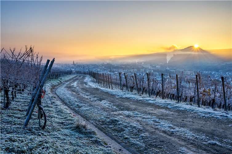 „Das Ahrtal ist immer noch wunderschön!“ Schneiders Fotos zeigen das Ahrtal in der Phase des Wachwerdens. Fotos: Kai Schneiders | kai . travel & photography