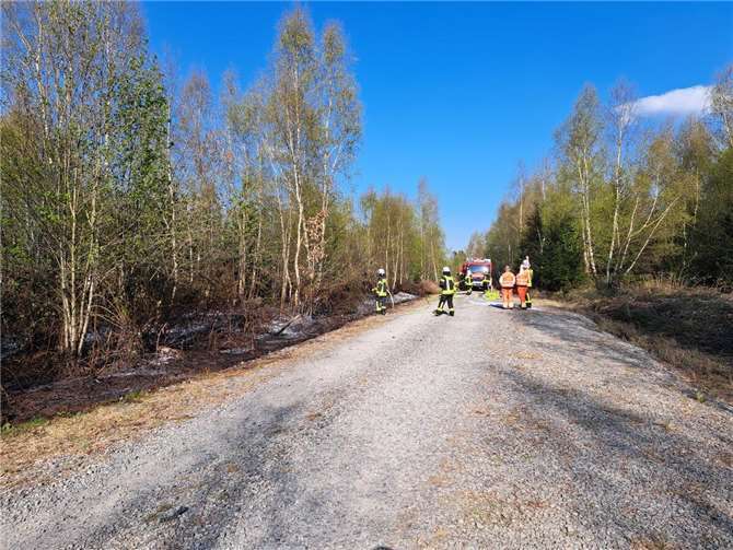 Schnelle Löschmaßnahmen verhindern größeren Schaden bei Waldbrand in Waldtstück bei Oberraden. Foto: Feuerwehr VG Rengsdorf-Waldbreitbach