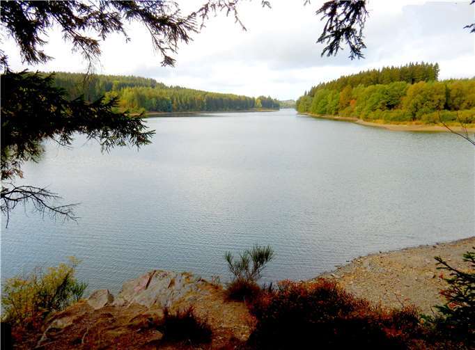 Schöne Aussichten auf den Bütgenbacher Stausee konnten die Fahrtteilnehmer genießen. Privat