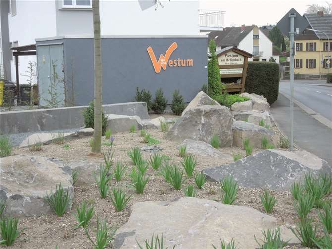 Schöner Blickfang: Der neue Westumer Ortseingang in Richtung Löhndorf. privat