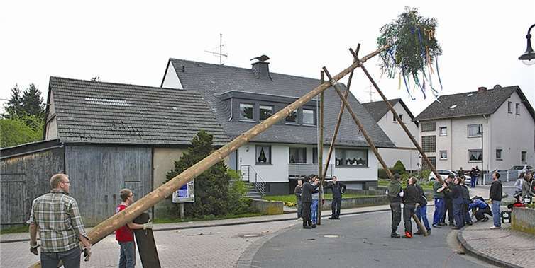 Schon bald hatten die Junggesellen den Baum errichtet, der jetzt mit bunten Bändern geschmückt aus luftiger Höhe die Gäste grüßt. -WK-