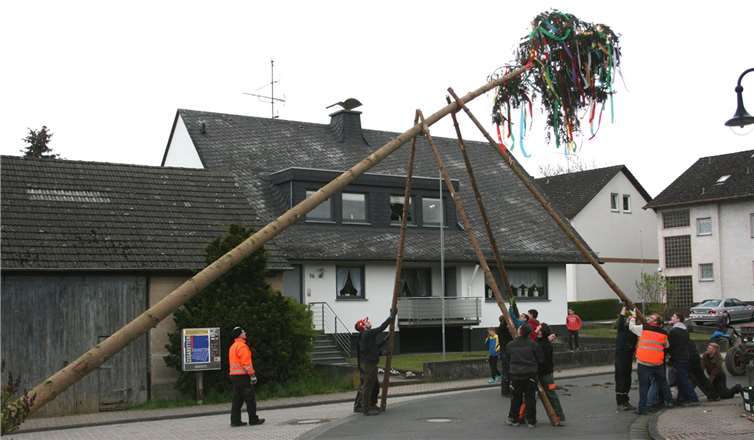 Schon bald hatten die Junggesellen den Baum errichtet, der jetzt mit bunten Bändern geschmückt aus luftiger Höhe die Gäste grüßt. WK