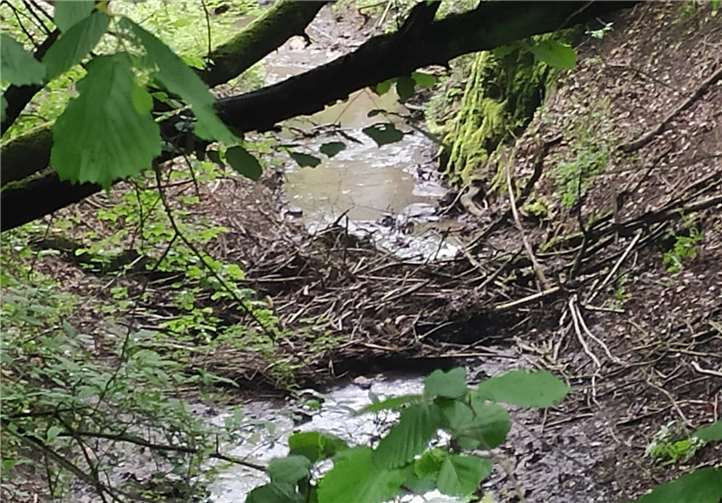 Schon seit vielen Jahren erfolgt keine pflichtgemäße Bachunterhaltung durch die Stadtverwaltung, in der Folge kommt es zu Erosionen und Hangabbrüchen - dies wird sich durch die „Renaturierungsmaßnahme“ nicht ändern.Foto: privat