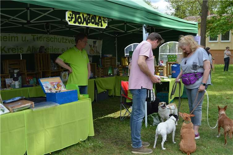 Schon vor Mittag strömten die interessierten Gäste, zu weiten Teilen mit ihren Lieblingen auf vier Pfoten, und auch Spaziergänger auf das Festgelände.