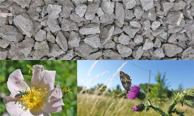 Schotter prägt das Bild vieler Vorgärten. Dabei könnte es so bunt sein. Der Wettbewerb setzt dafür Anreize.Foto: Kreisverwaltung MYK